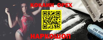 дживик Можга