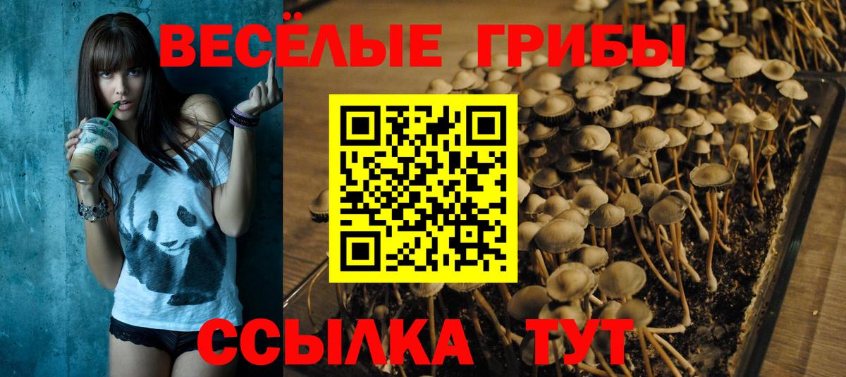 Учалы  Галлюциногенные грибы Magic Shrooms  Вход с VPN  закладка  Псилоцибиновые грибы мицелий 